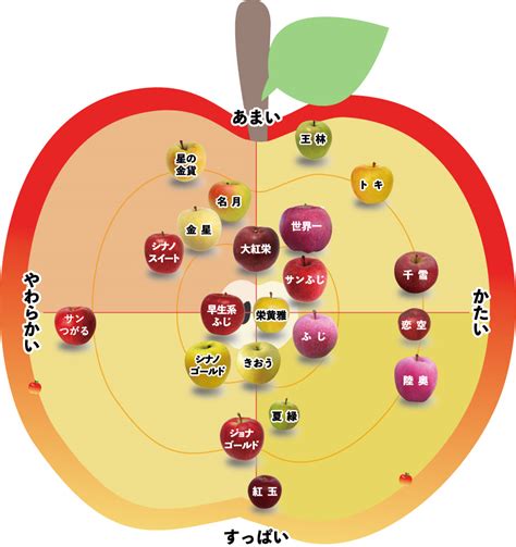 りんごチャートに『硬さ』登場！ りんご大学ブログ