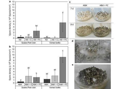 Aeration Significantly Increased Spore Density Exclusively When