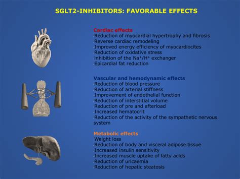 Non-renal mechanisms of action of gliflozins. | Download Scientific Diagram