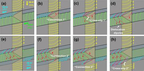 Schematic Illustrations Of The Sequential Behaviors Of The Gliding