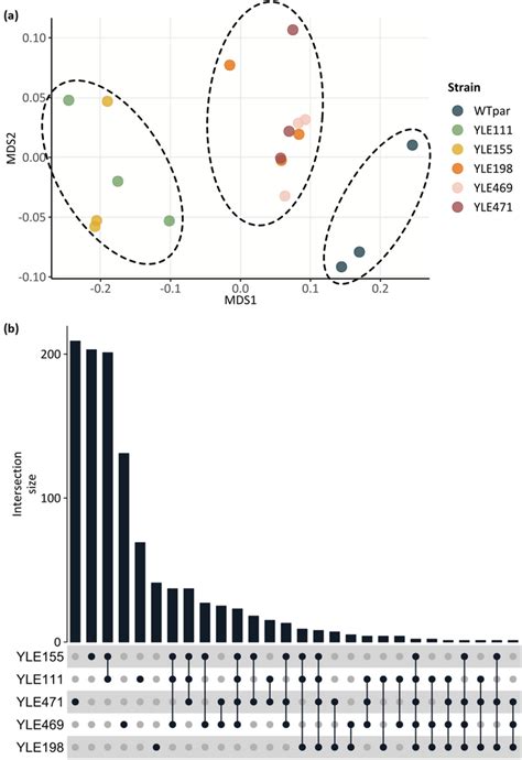 Differential Gene Expression Analysis Of The Evolved Y Lipolytica