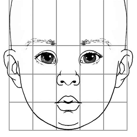 6.1.A1 Use Guidelines to Draw a Baby Face - Overview - Drawspace