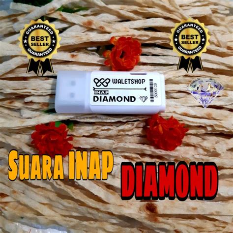 Jual Suara Walet Super Diamond Panggil Tarik Inap Full Set