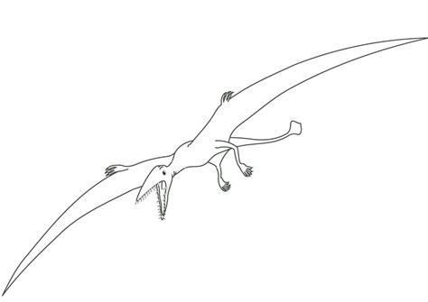 Dibujos De Pterodactylus Para Colorear Para Colorear Pintar E 26352