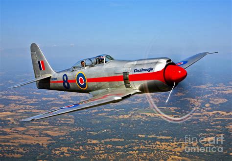 A Hawker Sea Fury Tmk20 Dreadnought Photograph By Scott Germain