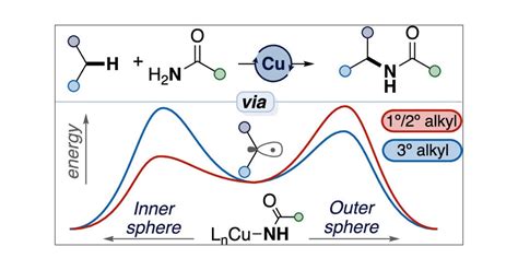 Mechanistic Insights Into The Origins Of Selectivity In A Cu Catalyzed