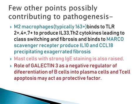 IgG4 RELATED DISEASES.pptx