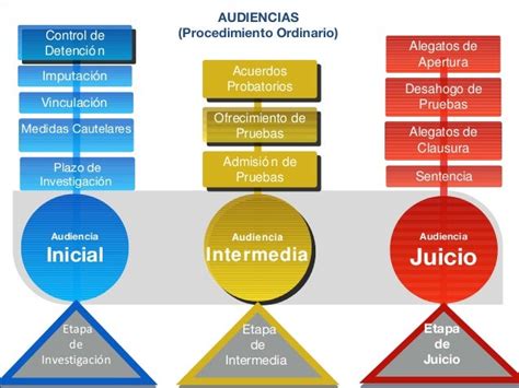 Audiencia Inicial En El Sistema Penal Acusatorio