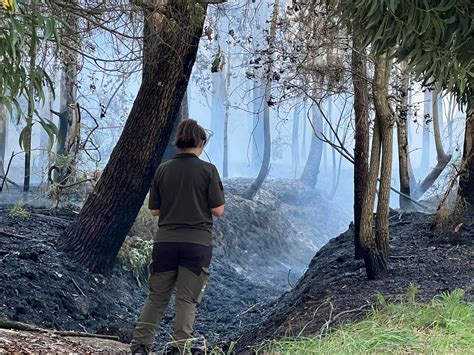 Tres Núcleos De Población En Riesgo Por Los Incendios En Galicia