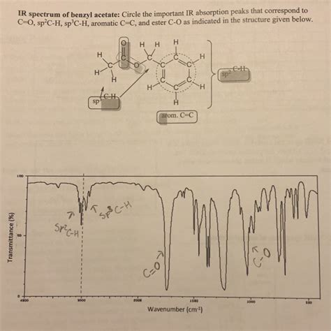 Solved Ir Spectrum Of Benzyl Acetate Circle The Important