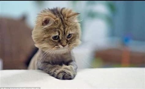 Types Of Sex Education Nigerian Parents Give Zikoko