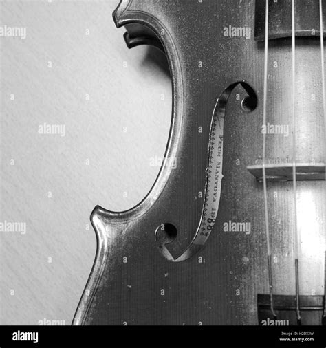 black white violin Stock Photo - Alamy