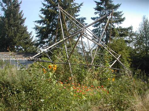 GardenStar – geometreeoflife