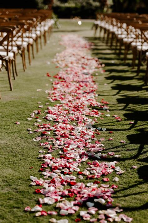 Rows Of Chairs Lined Up With Rose Petals On The Grass