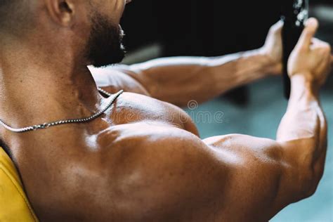 Selective Focus On The Naked Torso Of A Man Exercising With Weights In A Gym Stock Photo Image