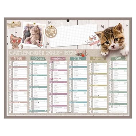 Calendrier Ann E Scolaire Chats Bouchut Mini X Cm