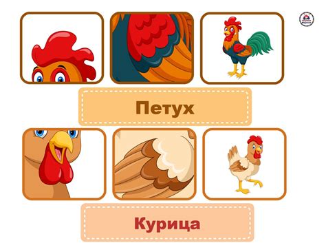 Картинки для игры угадай кто распечатать