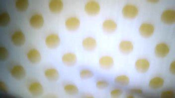 Venezolana Cogida Duro XVIDEOS