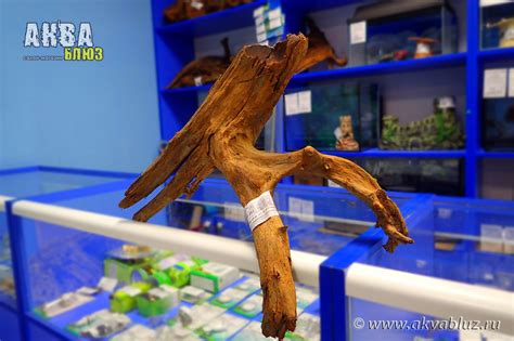 Мангровая коряга для аквариума: купить в Челябинске