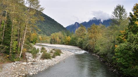 2019 Skykomish River Fishing Report - The Lunkers Guide