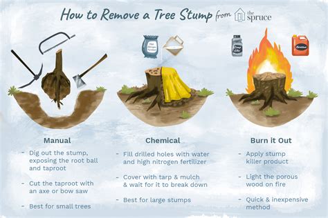 3 Ways To Remove A Tree Stump Without A Grinder