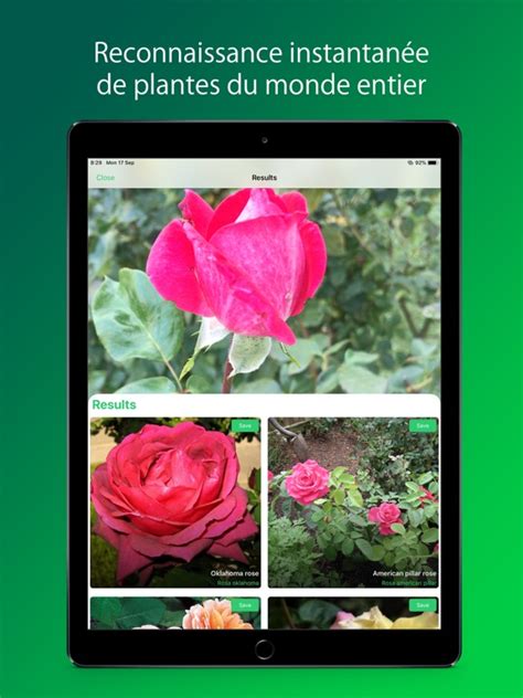 Application Gratuite Pour Reconnaitre Les Plantes Mon Blog Jardinage