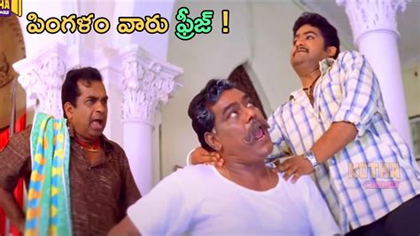 పింగళం వారు ఫ్రీజ్ Telugu Movie Ultimate Interesting Comedy Scene