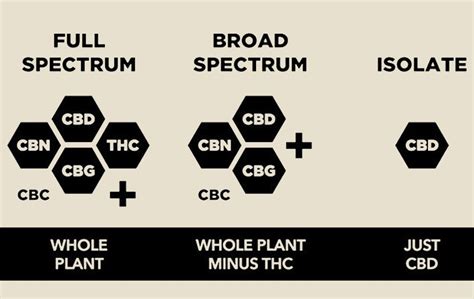 Différence Full Spectrum Cbd Vs Broad Spectrum Marie Jeanne Cbd