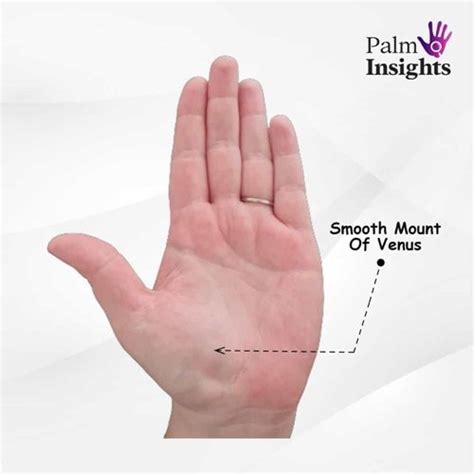 Mount Of Venus In Palmistry: A Quick And Easy Guide!