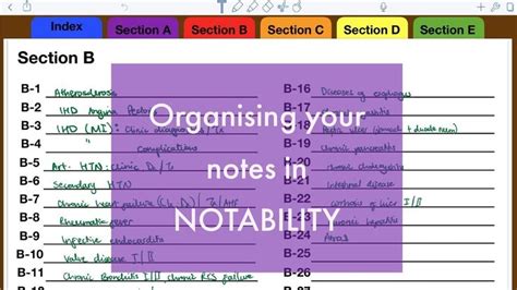 How To Organize Your Notes In Notability Paperless Student Youtube