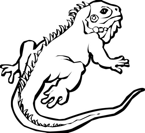 Iguana clipart printable, Iguana printable Transparent FREE for ...