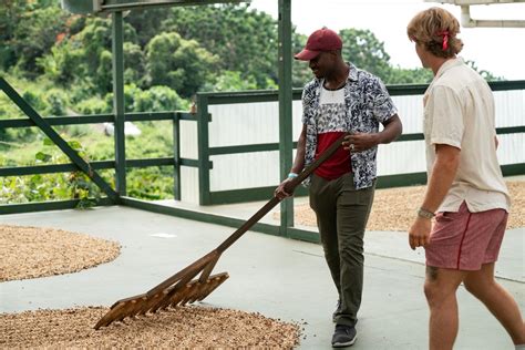 #1 Kona Coffee Farm Tour in Hawaii | Heavenly Hawaiian Kona Tour