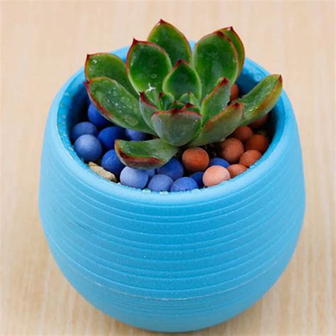 New Hot Mini Flower Pots Colourful Mini Round Plastic Plant Flower Pot ...