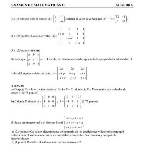 PDF EXAMEN DE MATEMÁTICAS II ÁLGEBRA 2º Bachillerato PDF file2