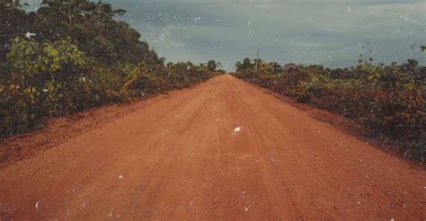 Transamazônica Uma Estrada para o Passado online