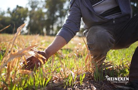 Heineken M Xico E Incmty Invitan A Capitalinos A Crear Soluciones Para