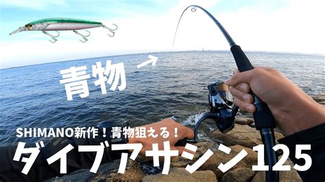 【ライトショアジギング】shimano 9月新作ルアー ダイブアサシン125で青物を狙う！ Youtube