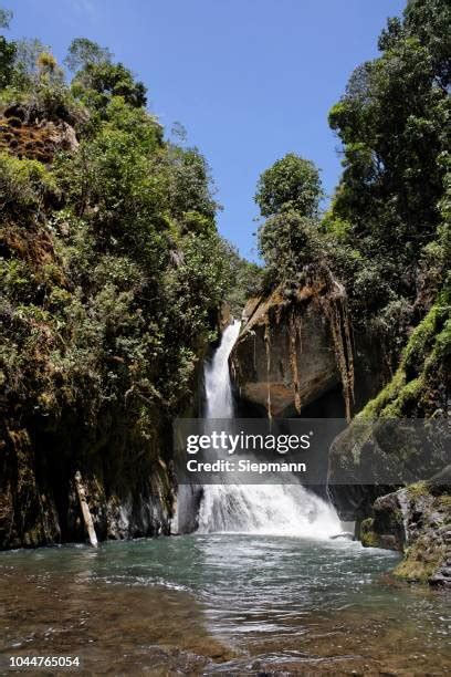 64 Los Quetzales National Park Stock Photos, High-Res Pictures, and ...