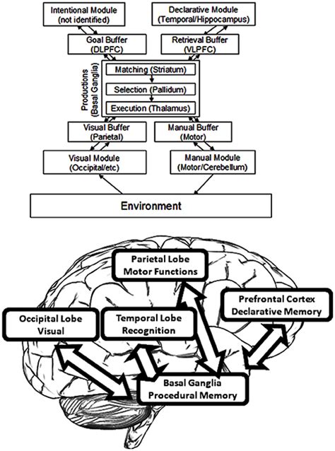 Frontiers Retooling Computational Techniques For Eeg Based