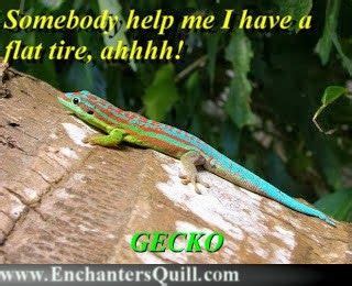 Geico gecko Memes