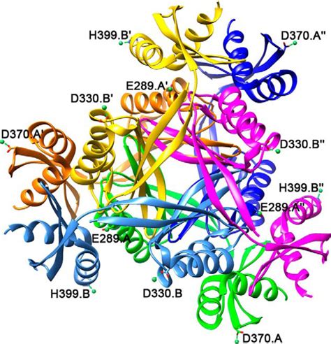 Biosynthesis Of The Nickel Pincer Nucleotide Cofactor Of Lactate