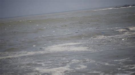 Carpayo la playa que murió a consecuencia de la contaminación LIMA