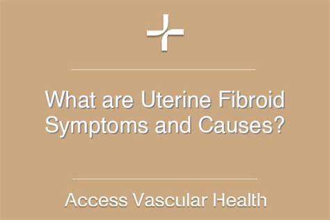 What are Uterine Fibroid Symptoms and Causes?