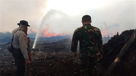 Puluhan Hektare Lahan Gambut Di Aceh Terbakar Petugas Kesulitan