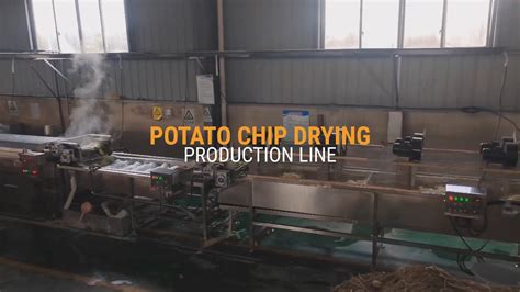 Potato Chip Drying Production Line YouTube