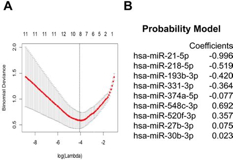 A Cerebrospinal Fluid Microrna Signature As Biomarker For Glioblastoma