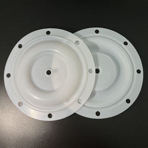 Aodd Pump Spare Parts Ptfe Diaphragm For Bsk Pump China Ptfe