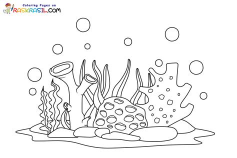 Coral Reef Coloring Pages