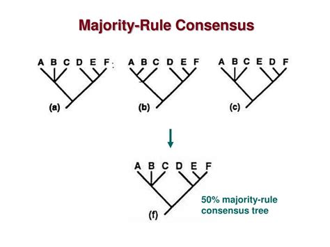 Ppt Consensus Trees Powerpoint Presentation Free Download Id1751086