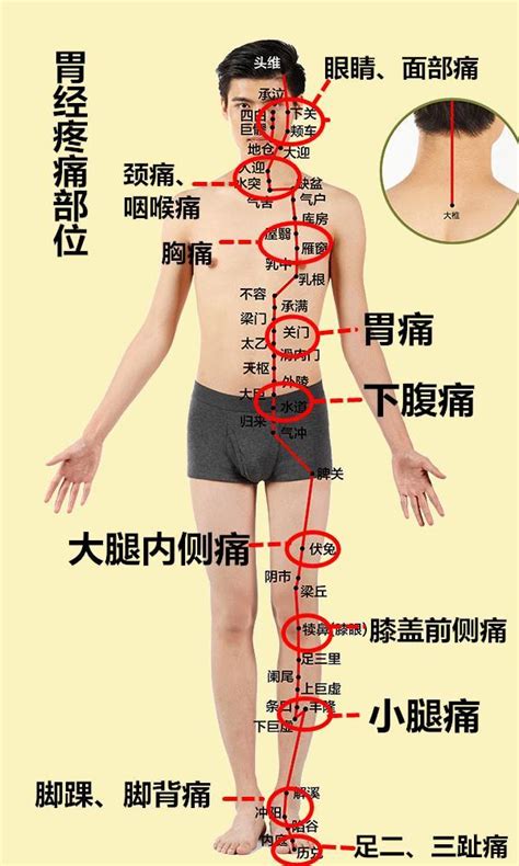 身體什麼地方痛，就按什麼穴位，這6張高清圖片，展示得真清楚！ 每日頭條